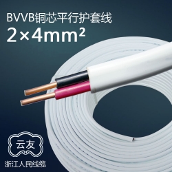 BVVB2芯4平方护套线明线 100米/卷